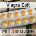 Viagra Soft levitra1